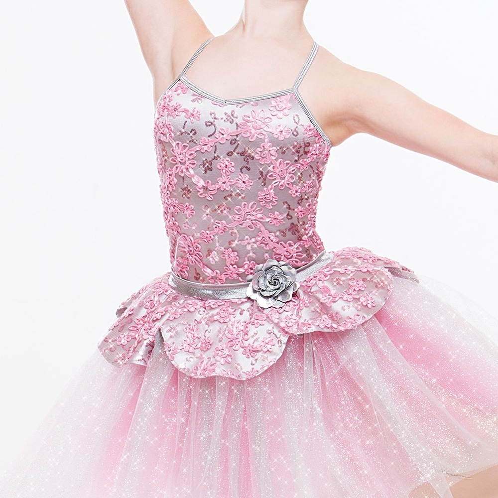 Rose Silver Adagio Ballet Dress